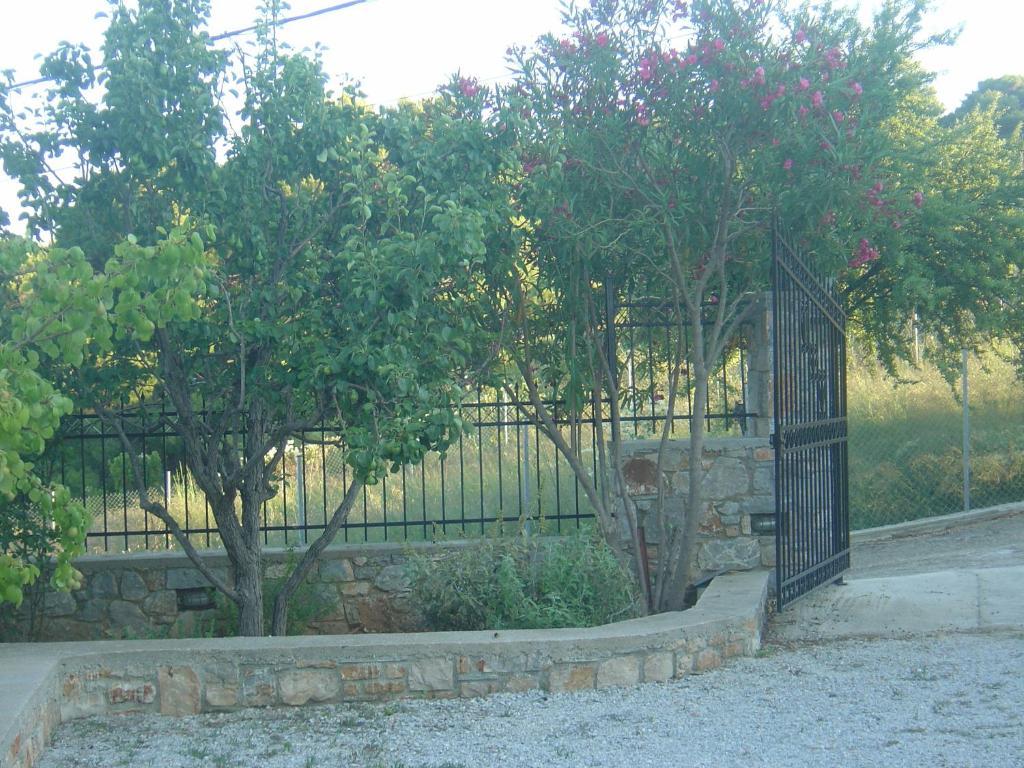 פטיטיריון Captain George'S Apartments מראה חיצוני תמונה